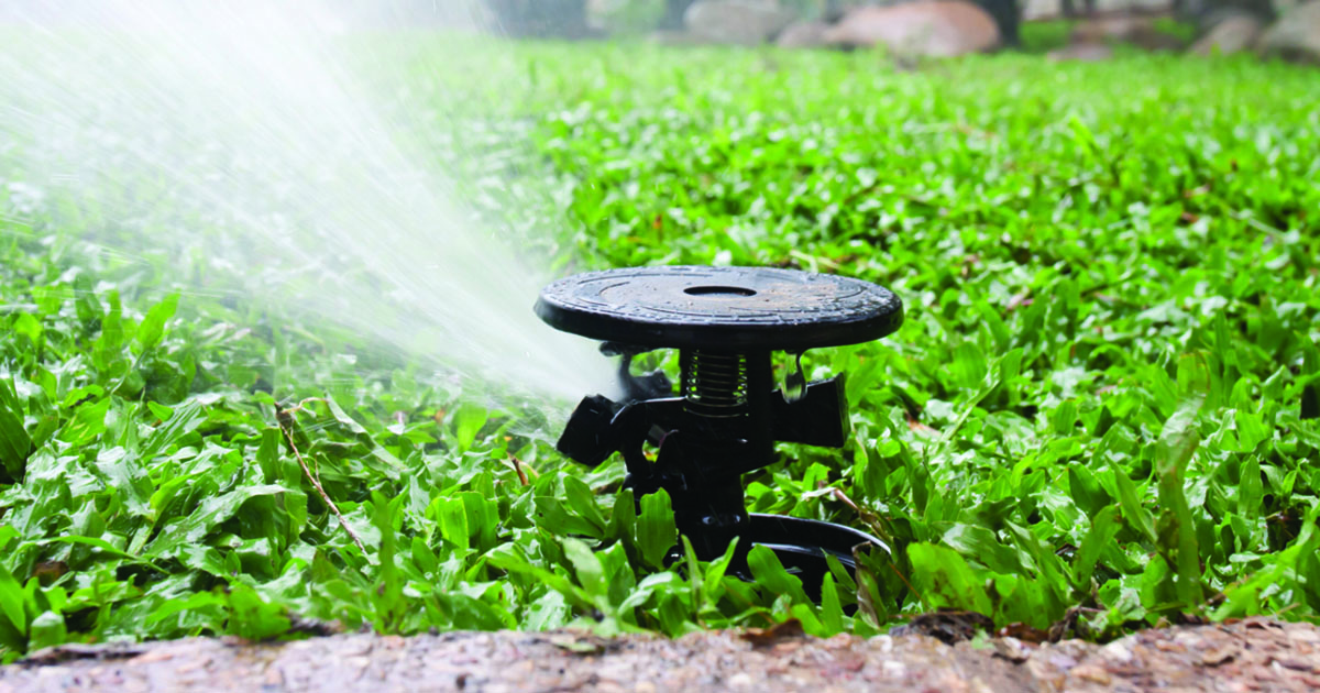 Sprinkler Sprinkler